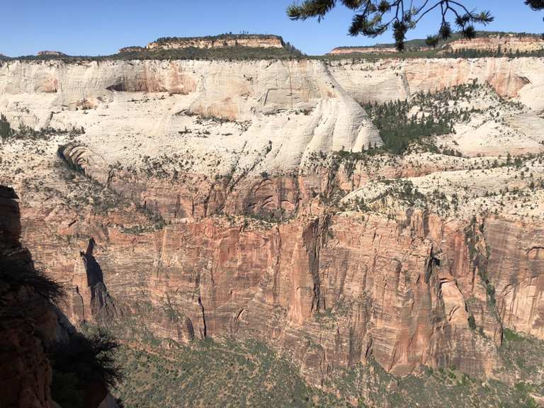 Observation Point: Wanderungen und Rundwege | komoot