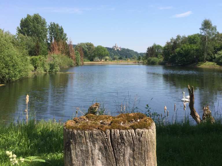 Kiesteiche: Wanderungen und Rundwege  komoot