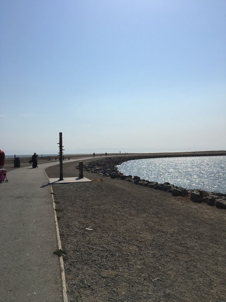 Paved path curving along sparkling water under a clear blue sky. - Marina Park, San Leandro – Wes McClure Boat Launch loop from Oyster Bay Regional Shoreline