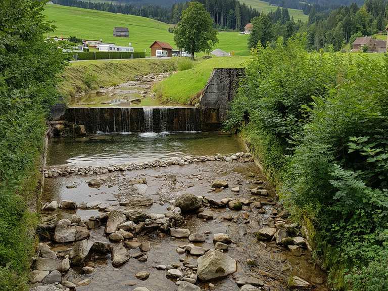 Wasser In Den Fussen