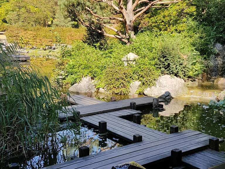 Japanischer Garten  im Westpark Oberbayern Bayern  