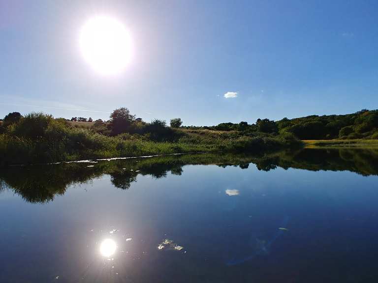 Giesener Teiche Mountain Bike Trails & Tracks Komoot