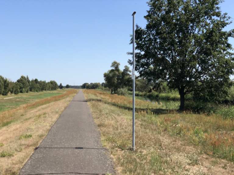 Weg an der Spree DissenStriesow, SpreeNeiße