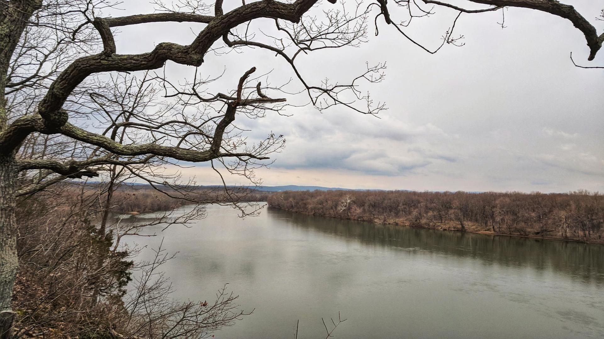 Overhead view of a wide river with bare trees under a cloudy, grey sky.
