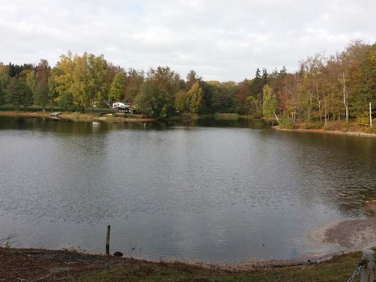 Bremer Teich (HWN 196) Wanderungen und Rundwege komoot