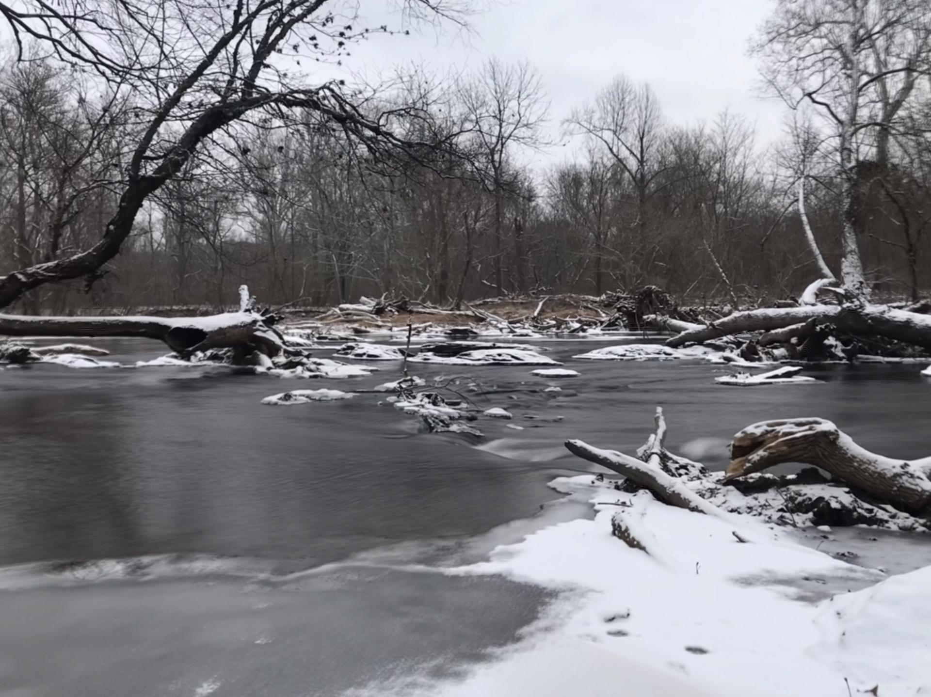 An icy river with snow-covered logs and bare trees under a gray sky.