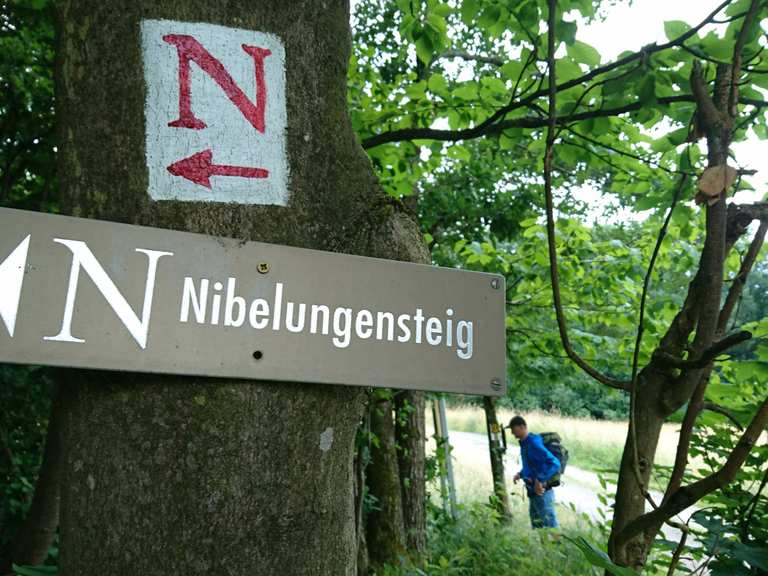 Schannenbacher Niedermoor Routes for Walking and Hiking | Komoot