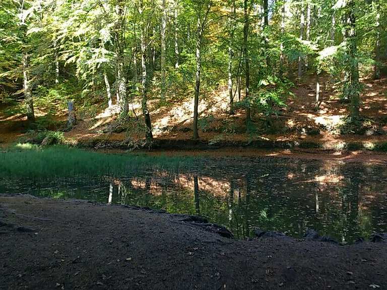 BlankeTeich Wanderungen und Rundwege komoot