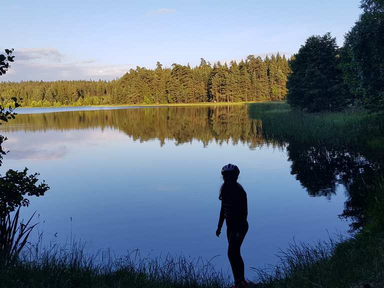 Breiter Teich Mountain Bike Trails & Tracks Komoot