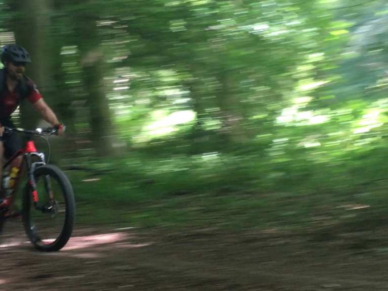 friston forest cycling