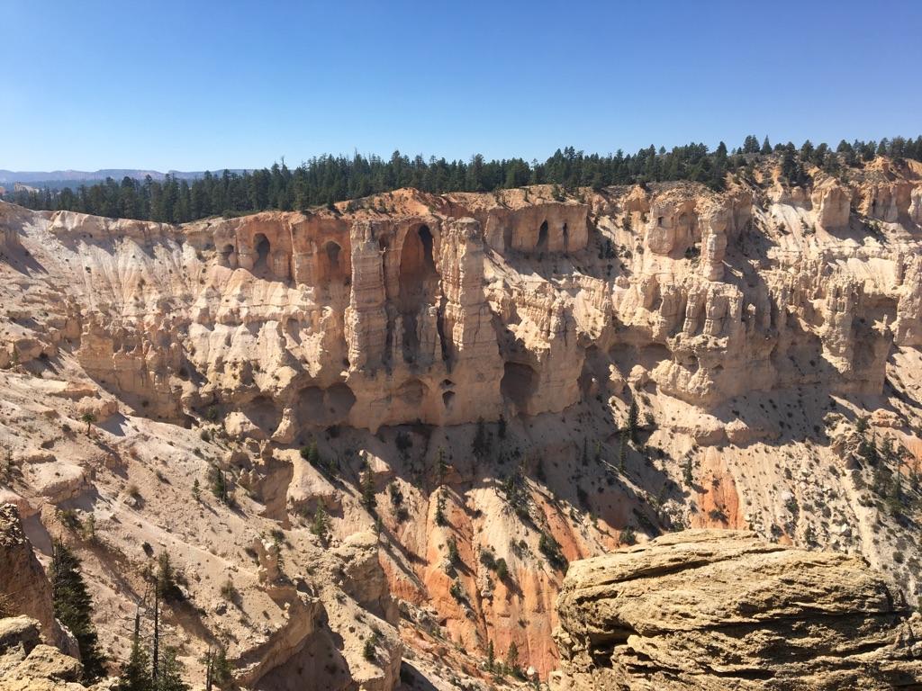 Sunny view of a light-colored canyon wall featuring multiple natural arches and caves.