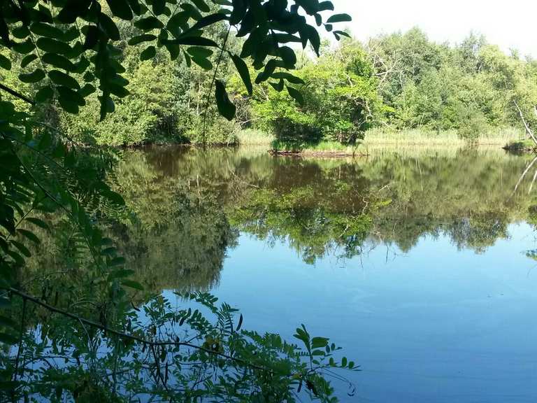 DreiInselTeich Radtouren und Radwege komoot