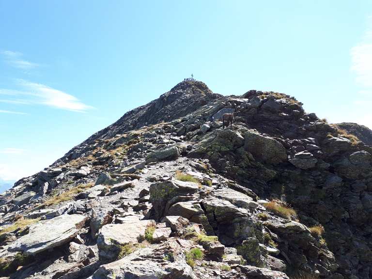 Monte Legnone: Wanderungen und Rundwege | komoot