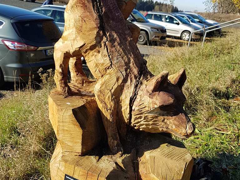 Fuchskaute Wanderungen und Rundwege komoot