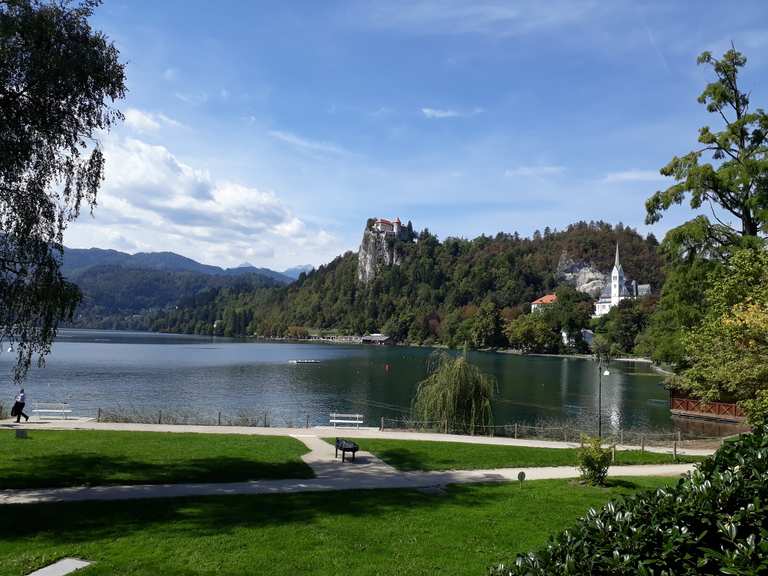 Lake Bled Burg Bled Runde von Bled Jezero Fahrradtour