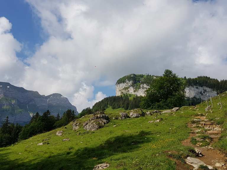 Steiler Waldweg zur Bommenalp – Wanderungen & Anfahrt | Komoot