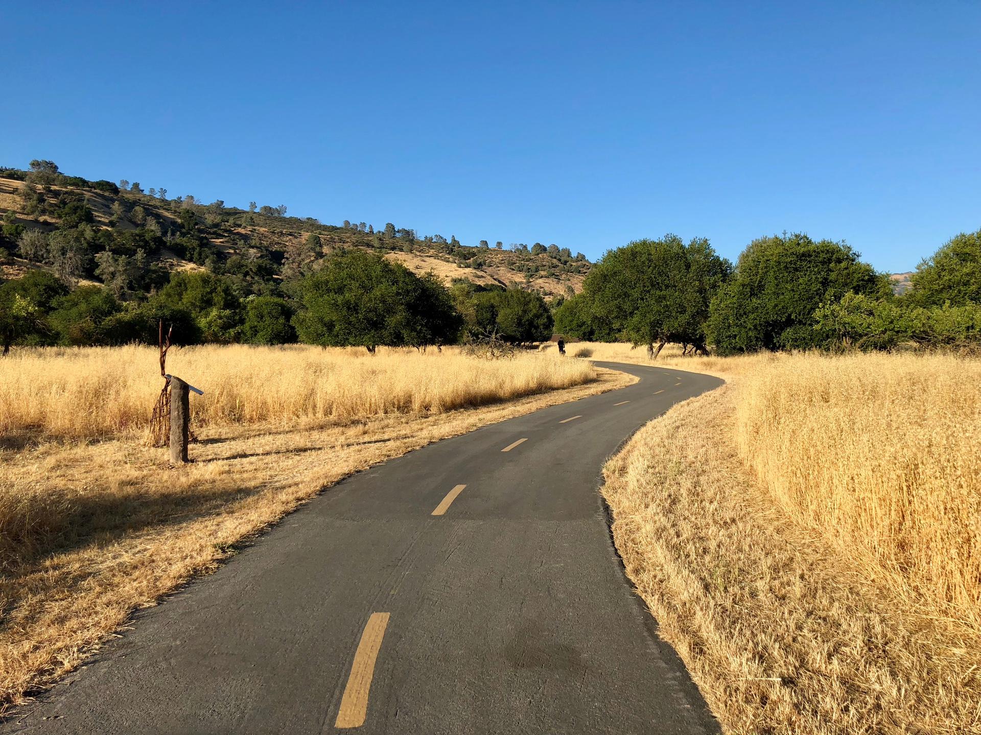 Paved road curving through golden fields and green trees under a clear sky.