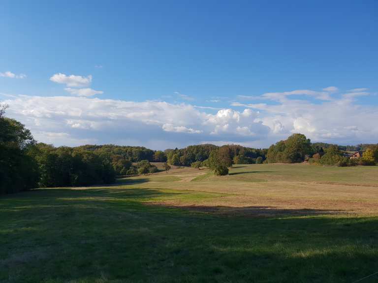 Schannenbacher Niedermoor Wanderungen und Rundwege komoot