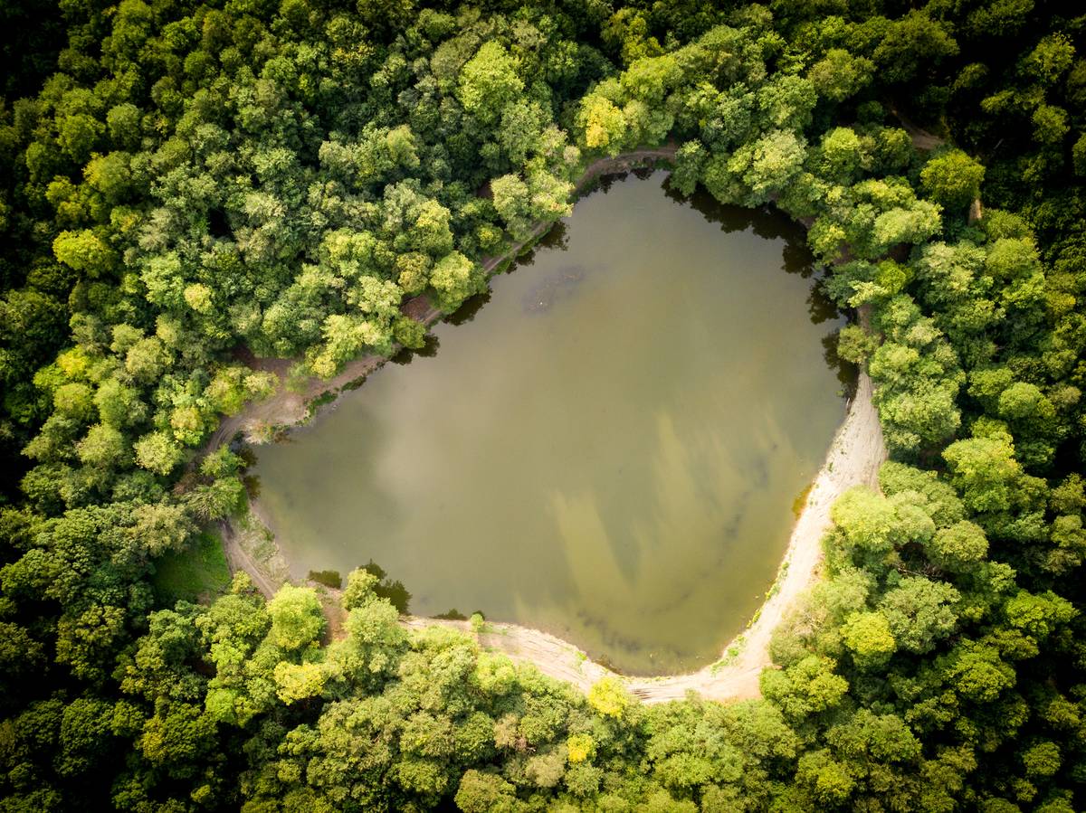 Lake Parz