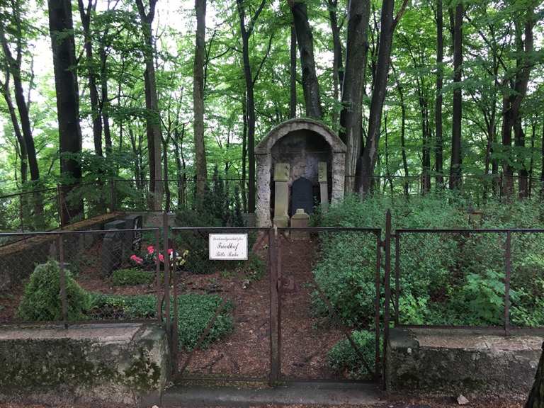 Waldfriedhof: Wanderungen und Rundwege | komoot