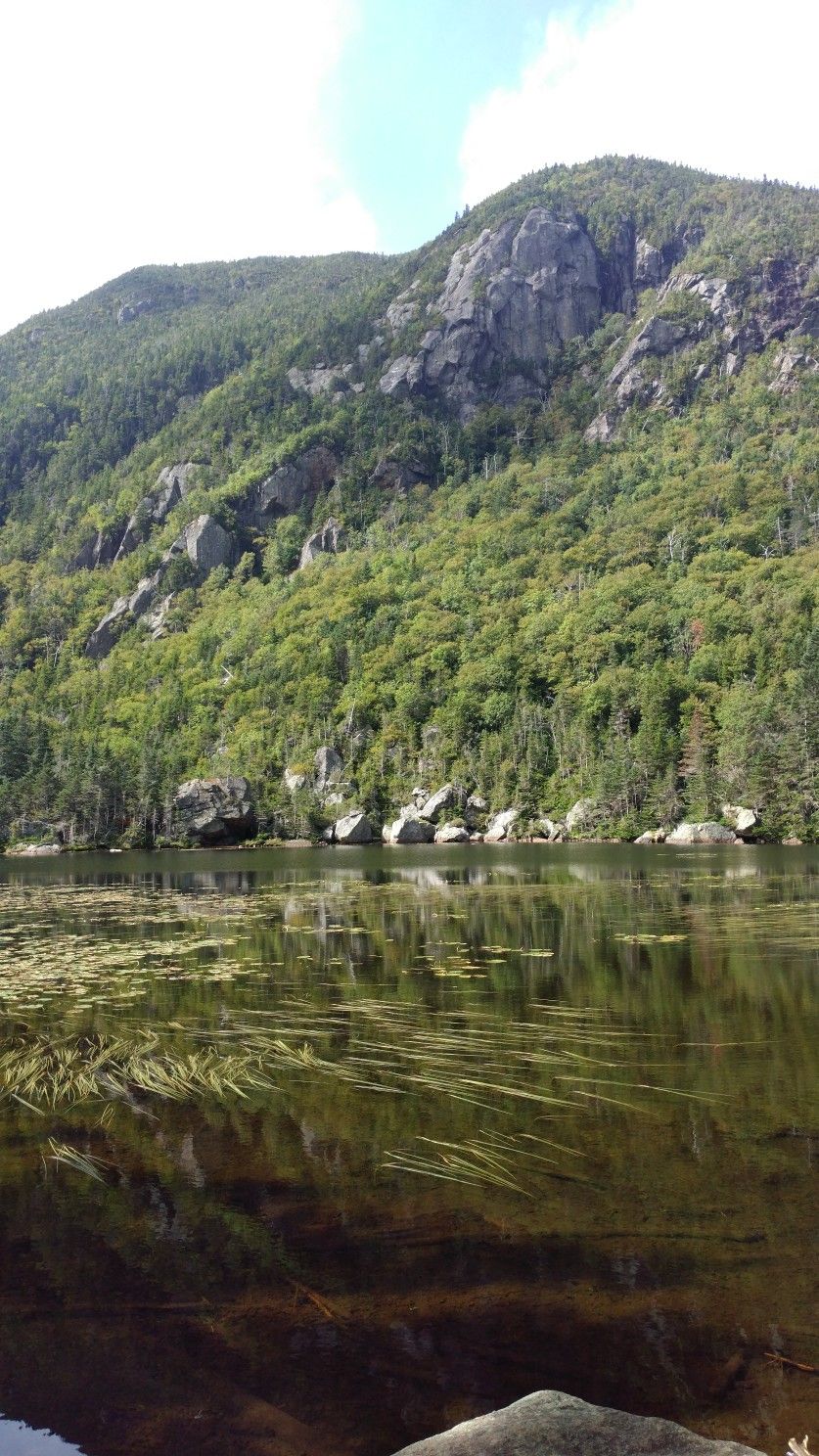 Sunny lake with green plants reflecting a tree-covered mountain. - Nineteen Mile Brook Trail