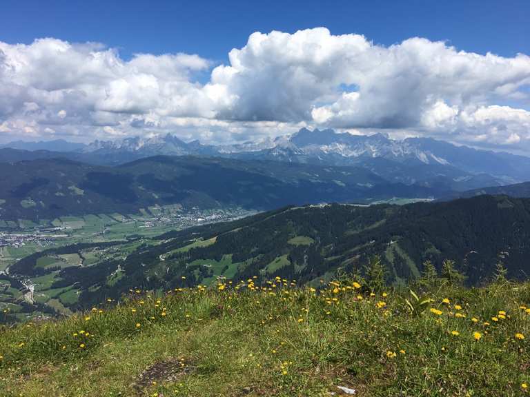 Lackenkogel Touren und Karten komoot