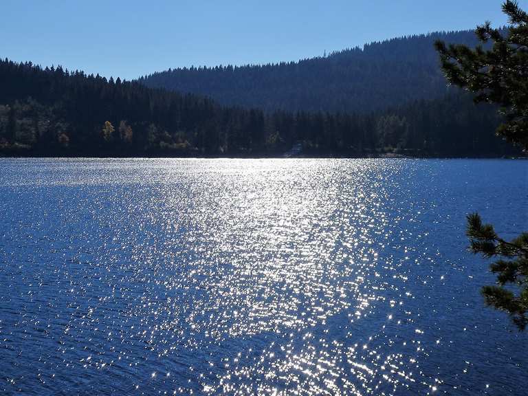 Amalienruhe wandelroutes en hikes Komoot