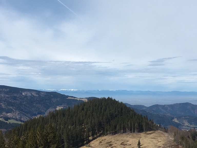 Hinterwaldkopf Wanderungen und Rundwege komoot