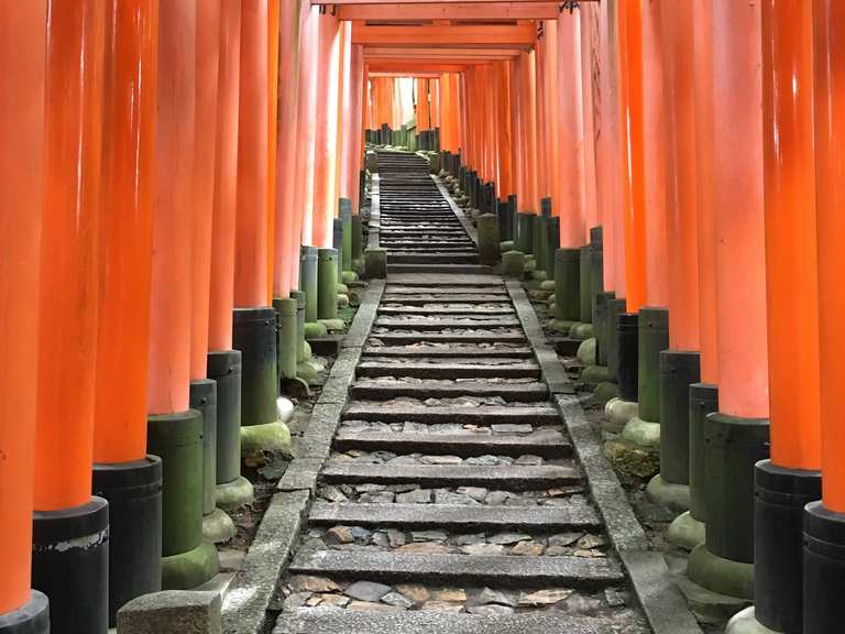 Ascending to Kumataka Shrine Wanderungen und Rundwege komoot