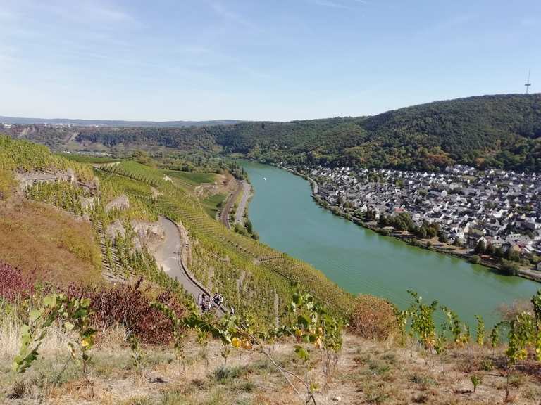 Panoramaterrasse Moselblick Runde von Bisholder Wanderung Komoot