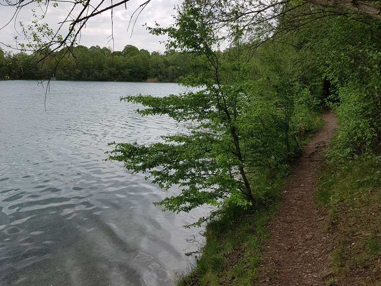 Landschaftssee Allacher Lohe Wanderungen und Rundwege