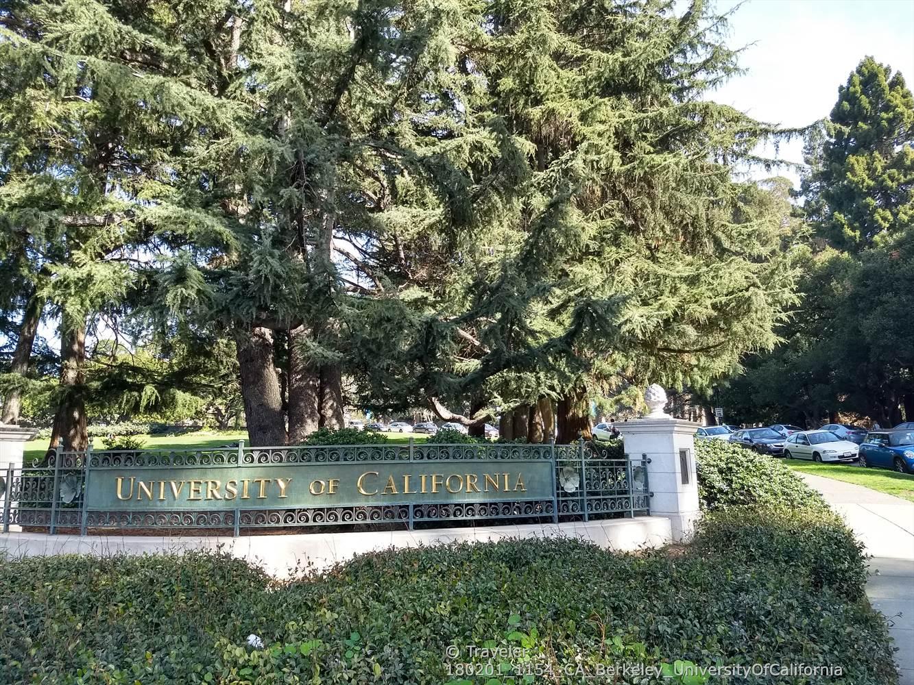 A large sign for a university surrounded by tall evergreen trees on a sunny day.