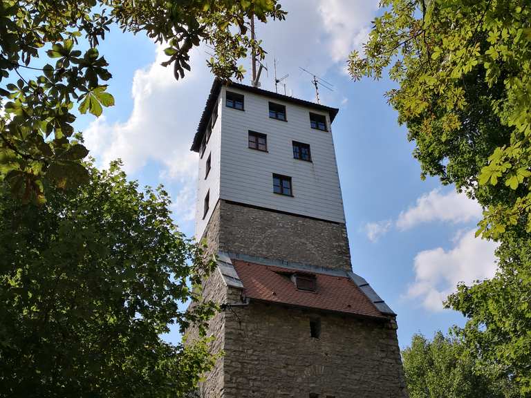 Moritzberg Wanderungen und Rundwege komoot