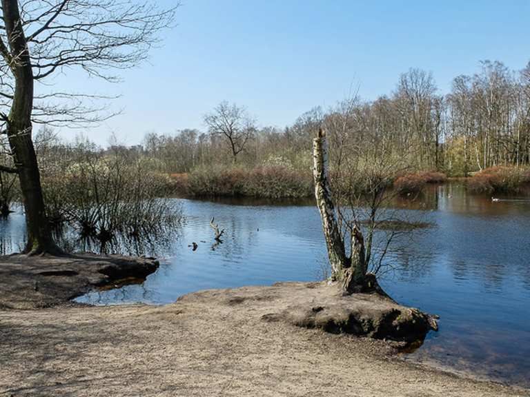 Eppendorfer Moor Hamburg, Deutschland Wandertipps & Fotos Komoot