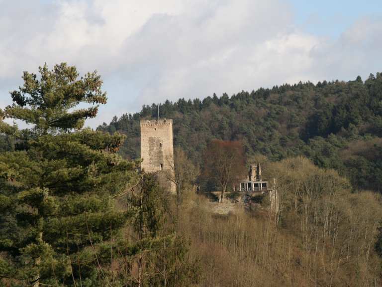 Burg Grenzau Wanderungen und Rundwege komoot