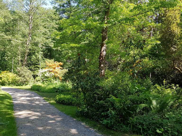 Forstbotanischer Garten Eberswalde Routes for Walking and Hiking Komoot