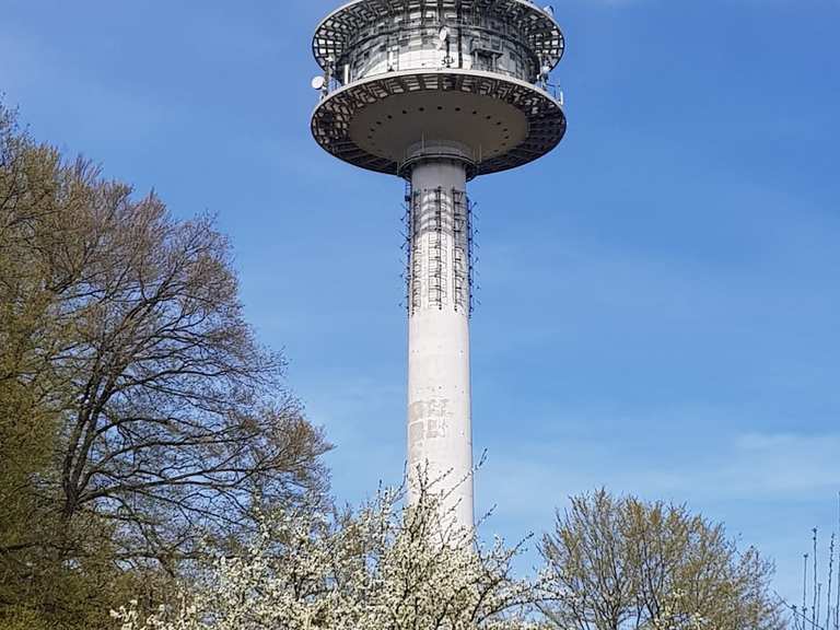 Fernmeldeturm Grünwettersbach - Regierungsbezirk Karlsruhe ...