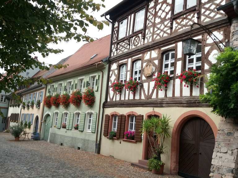 Burkheim: Wanderungen und Rundwege | komoot