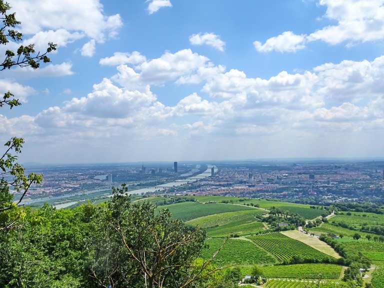 Kahlenberg - Vienna Woods, Lower Austria | Tips & Photos for Mountain ...