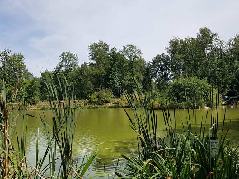 50+ Käppels Teiche, An käppels teichen in mühlwand haben die