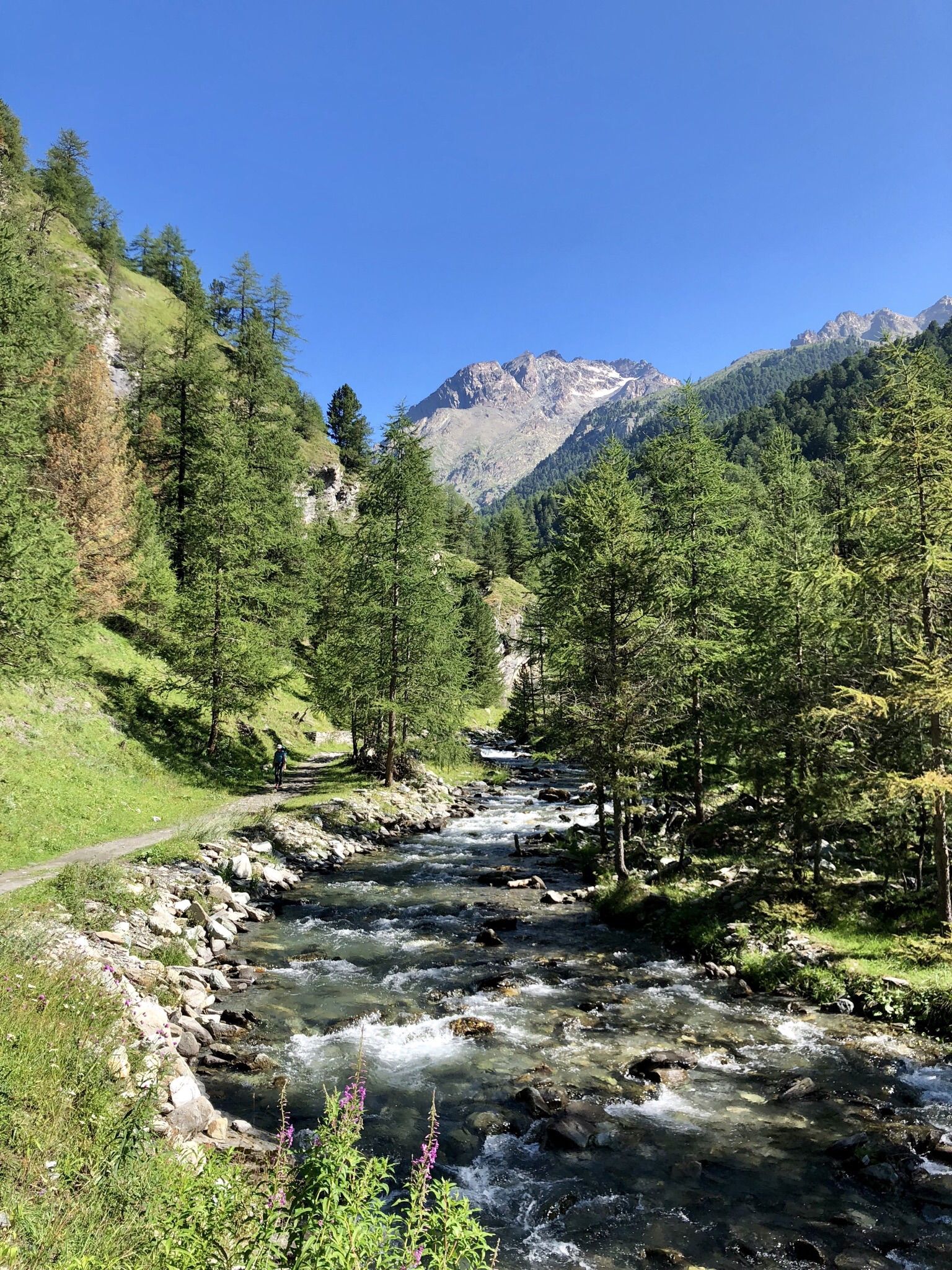 The Tour of Mount Viso – hike around Italy’s Stone King | Hiking ...