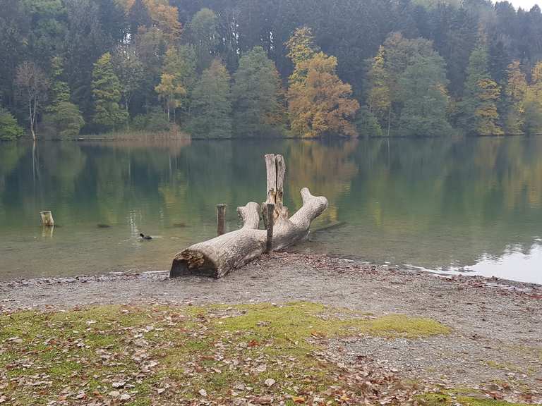 Türlersee Wanderungen und Rundwege komoot