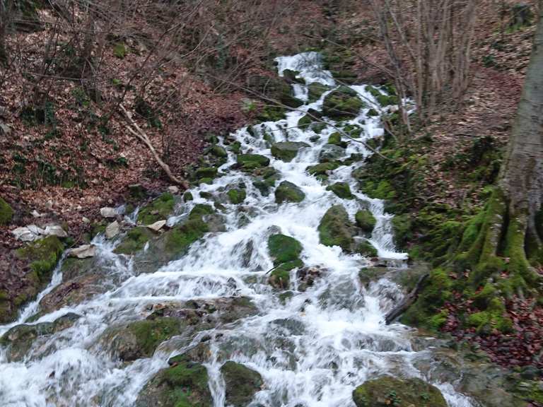 Neidlinger Wasserfall: Wanderungen und Rundwege | komoot