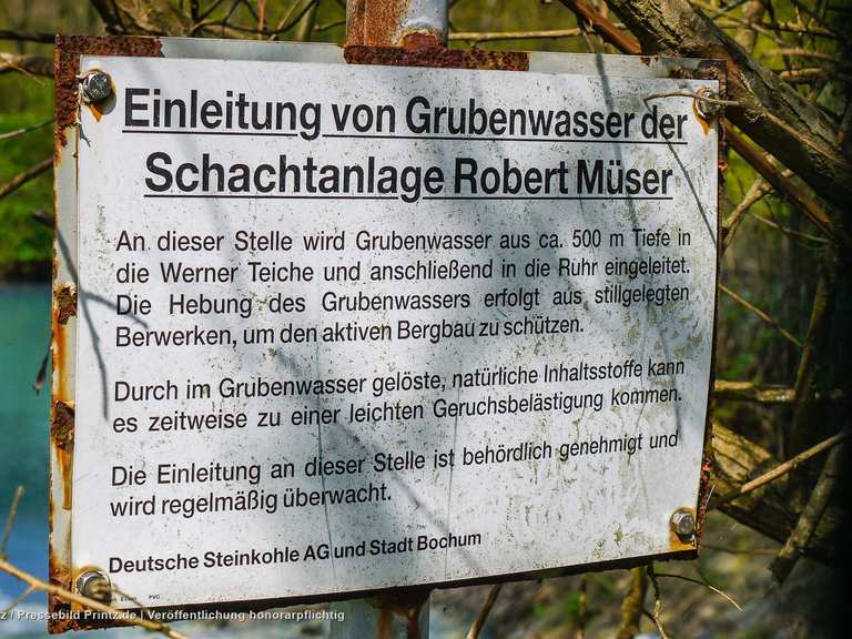 Harpener Teiche Blick Routes for Walking and Hiking Komoot