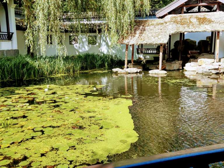 Botanischer Garten RUB - Ruhrgebiet, Nordrhein-Westfalen ...