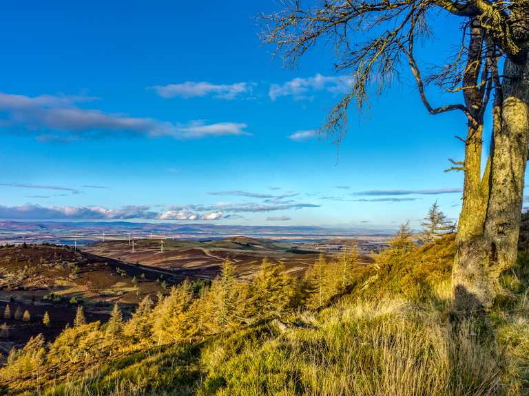 Auchterhouse Hill Wanderungen und Rundwege komoot