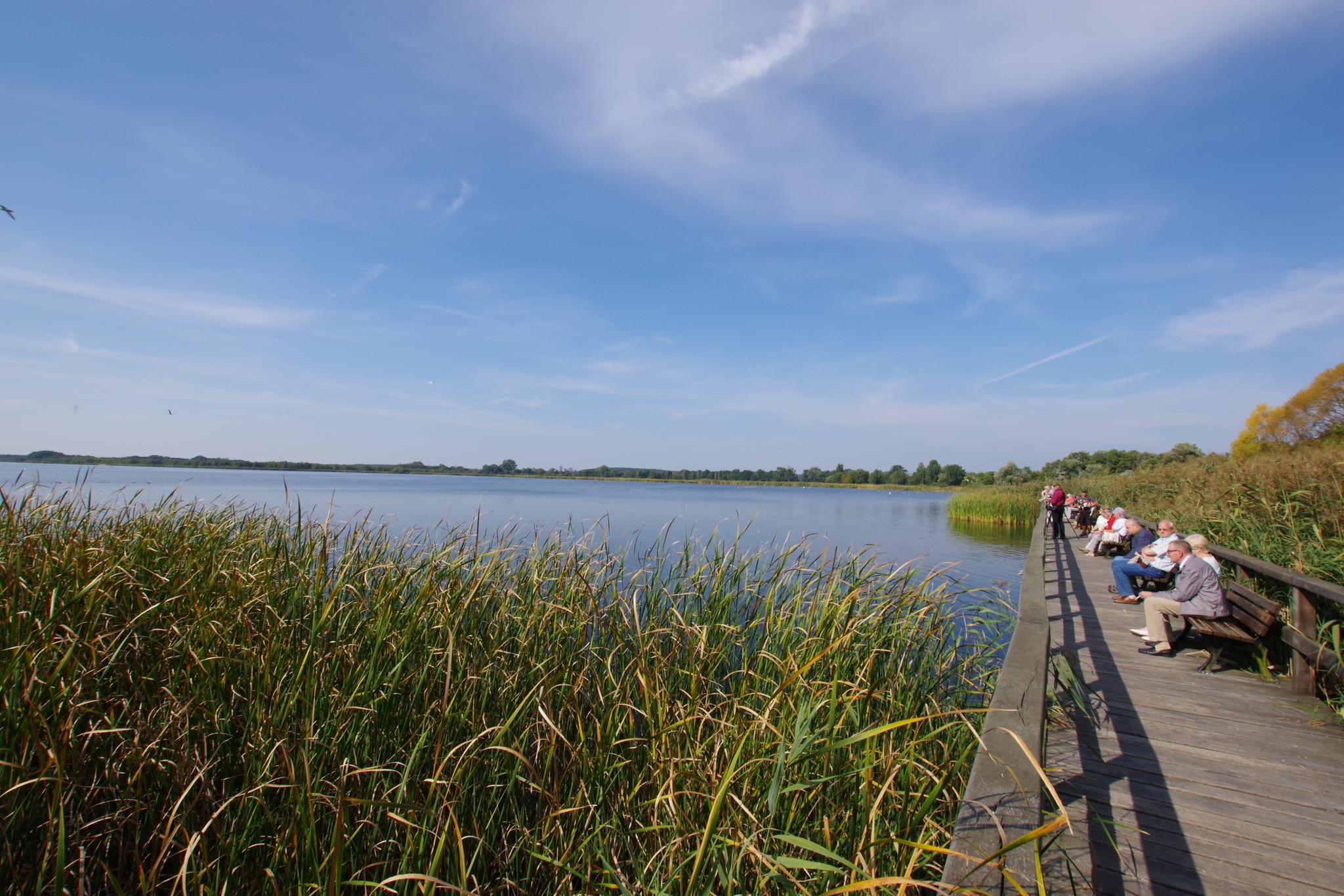 Bohlensteg Am Blankensee: Wanderungen Und Rundwege | Komoot