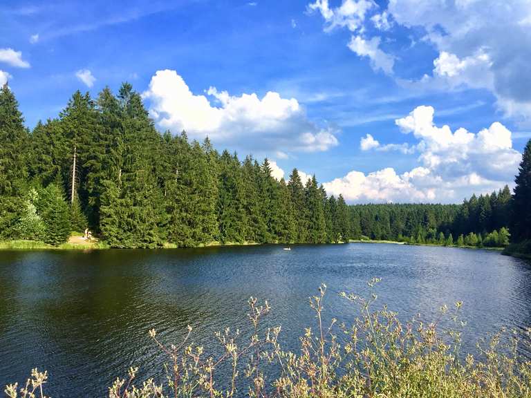 Bärenbrucher Teich (HWN 137) wandelroutes en hikes Komoot