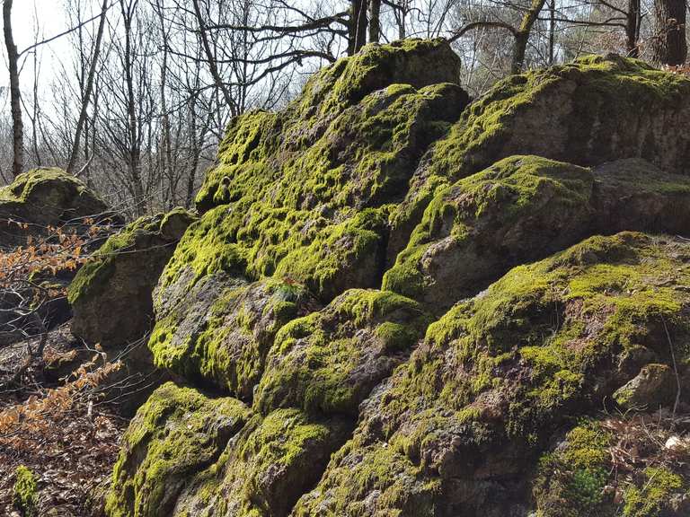 Eisensteine Rock Formation Routes for Walking and Hiking | Komoot
