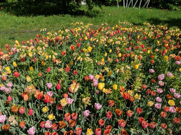 Britzer Garten - Berlin, Deutschland | Radtouren-Tipps ...